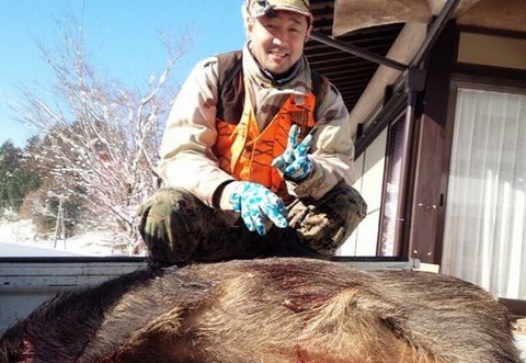 衝撃のオオサンショウウオ事件