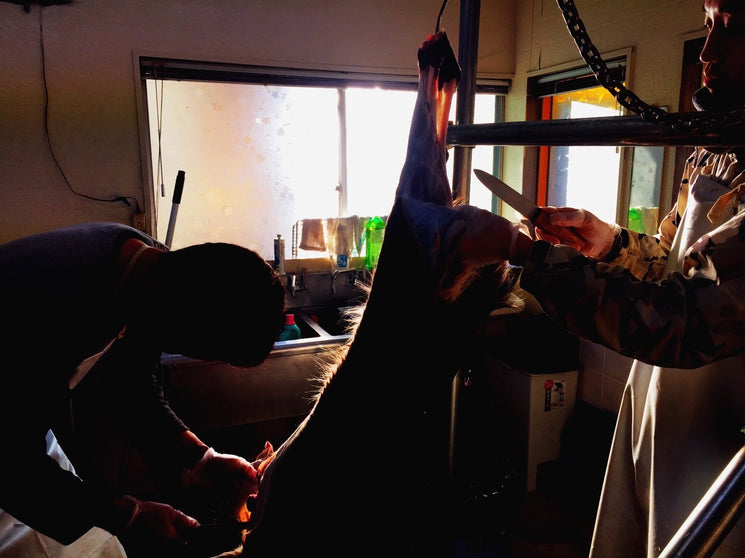 ジビエ肉を仕入れること。