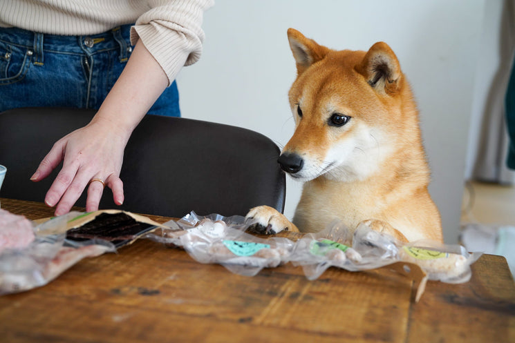 犬のおやつと食品添加物｜原材料表示の読み方