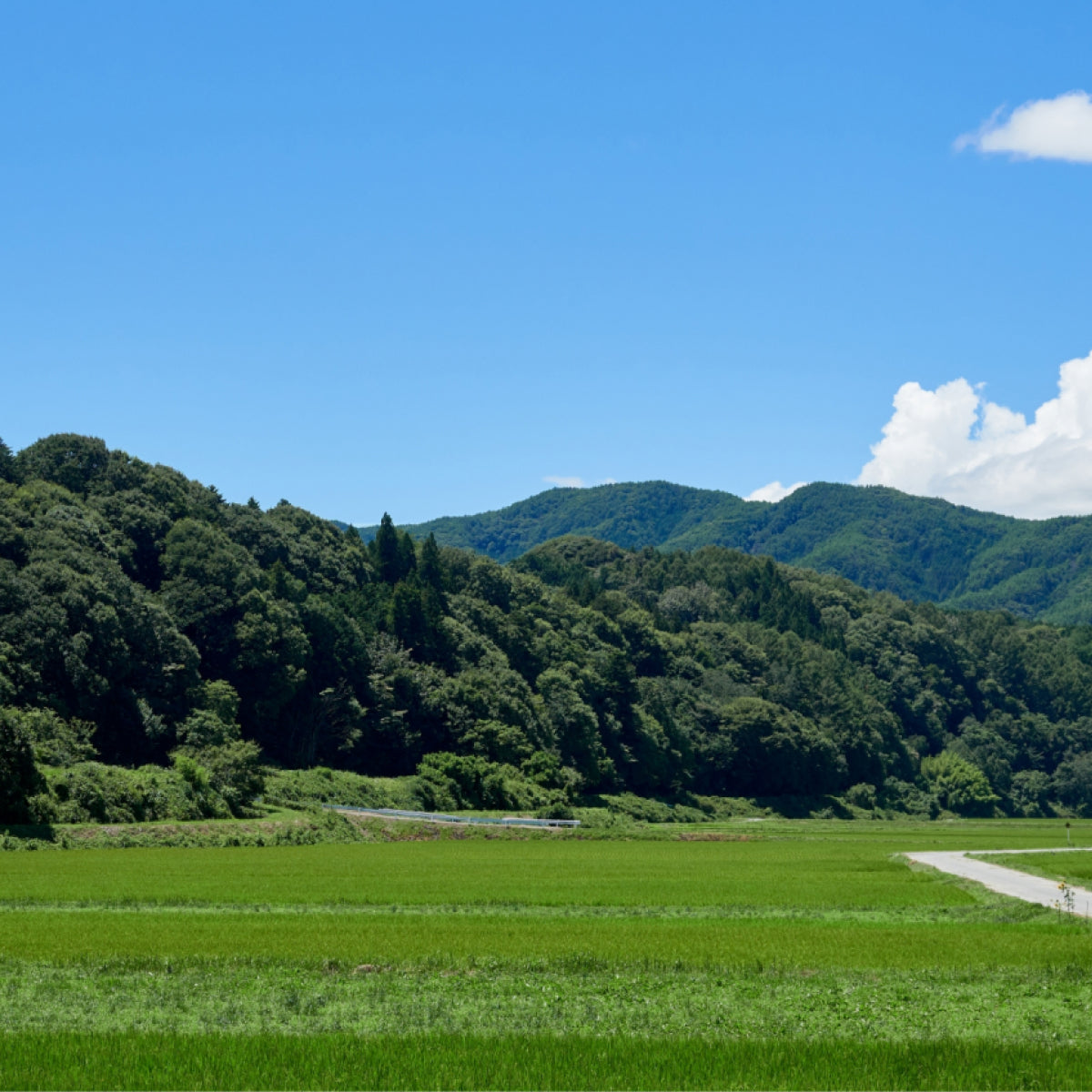 青空と山に囲まれた田園風景